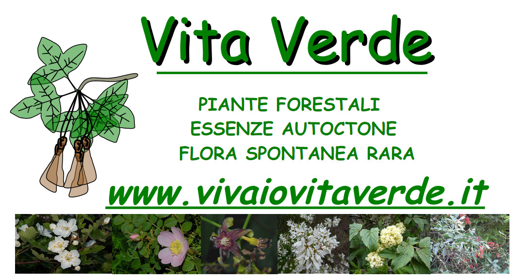 Vivaio Biologico Vita Verde