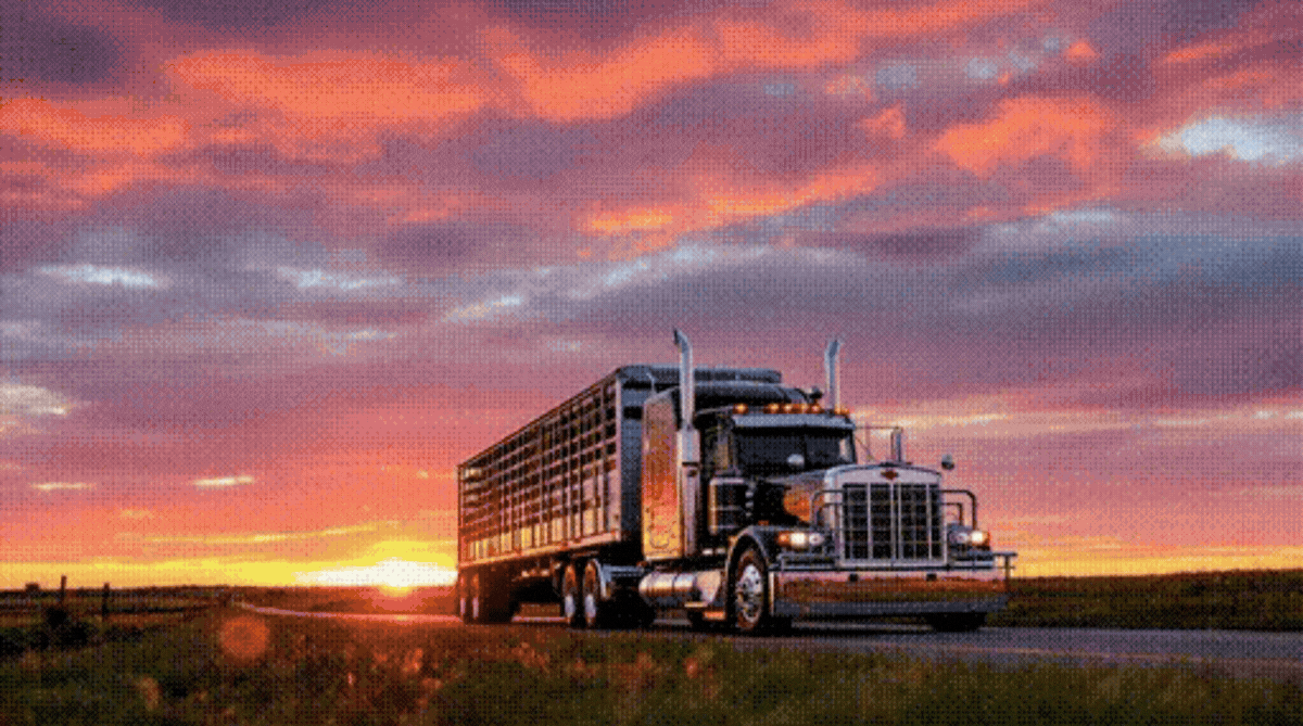 homepage - truck-animated.gif