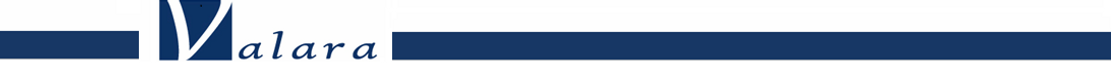 valara web banner 7.png