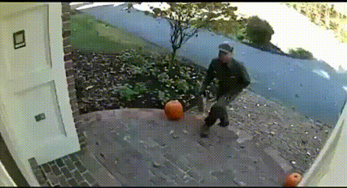 delivery GIF.gif