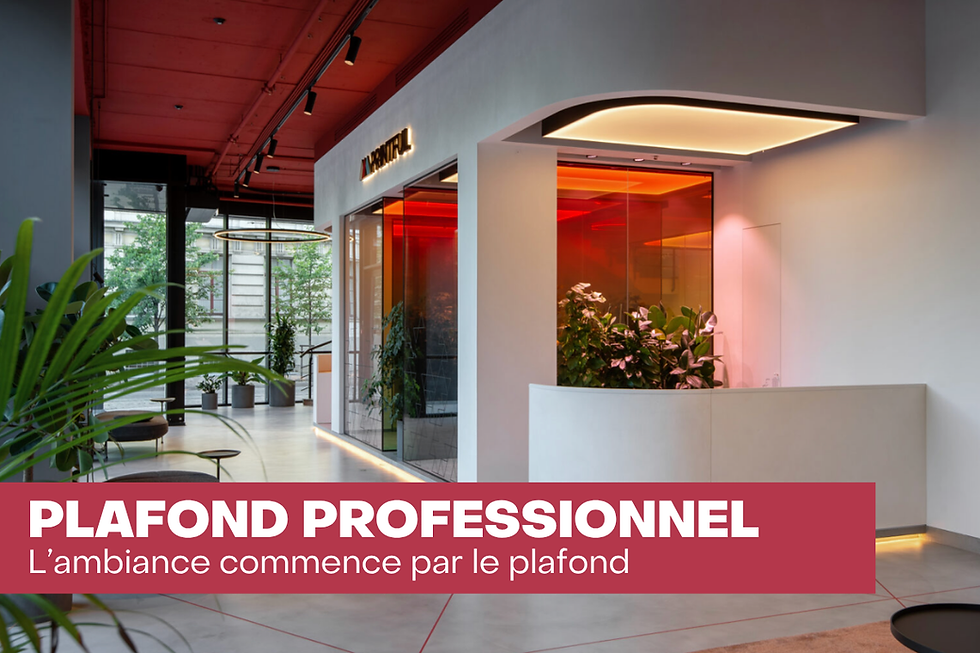 Le plafond tendu s'impose comme une solution idéale pour les professionnels soucieux de l'esthétique, du confort et de la personnalisation de leurs espaces. Hôtels, restaurants, cabinets médicaux, commerces… à Pontarlier et dans tout le Doubs, l'installation de plafonds tendus devient une tendance forte.