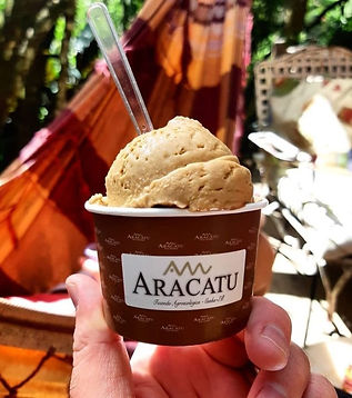 Sorvete tipo italiano gelatto, produzido e vendido no empório da FAzenda Aracatu, Cunha - SP