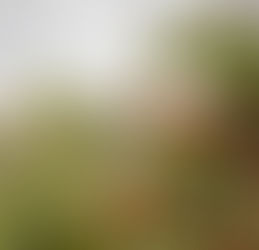 Ethiopia Kahveleri: Kahvenin Doğduğu Topraklar