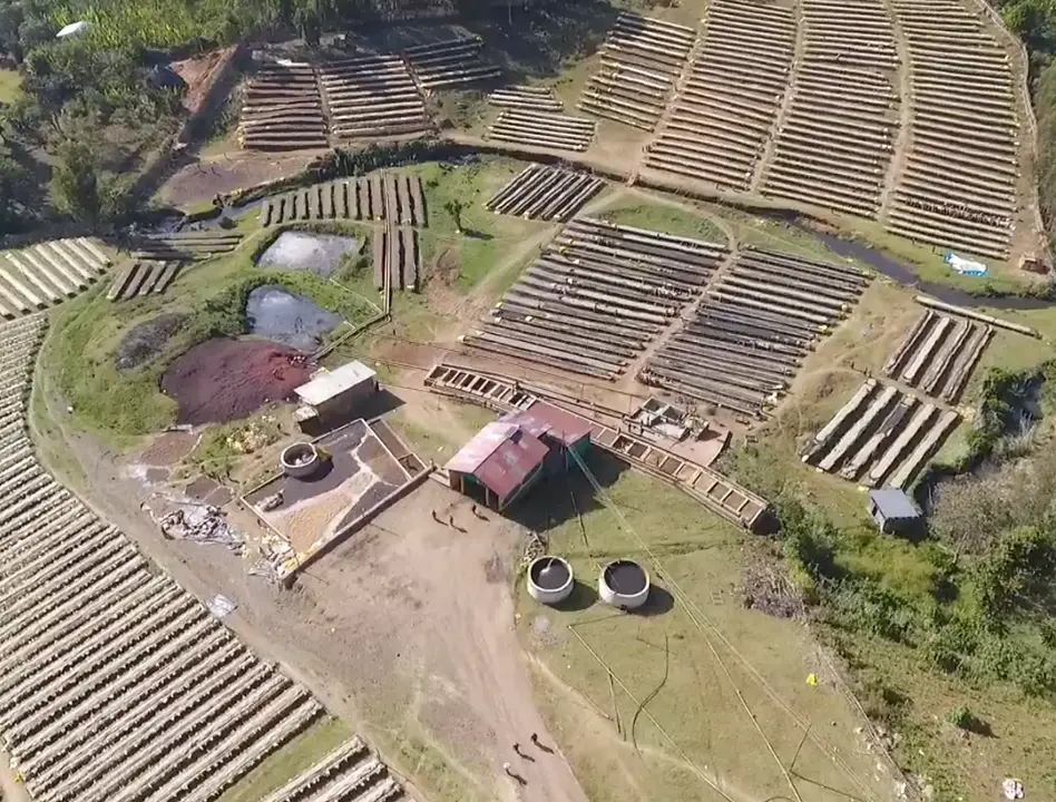 Küçük resim: Ethiopia Bombe Qonqana