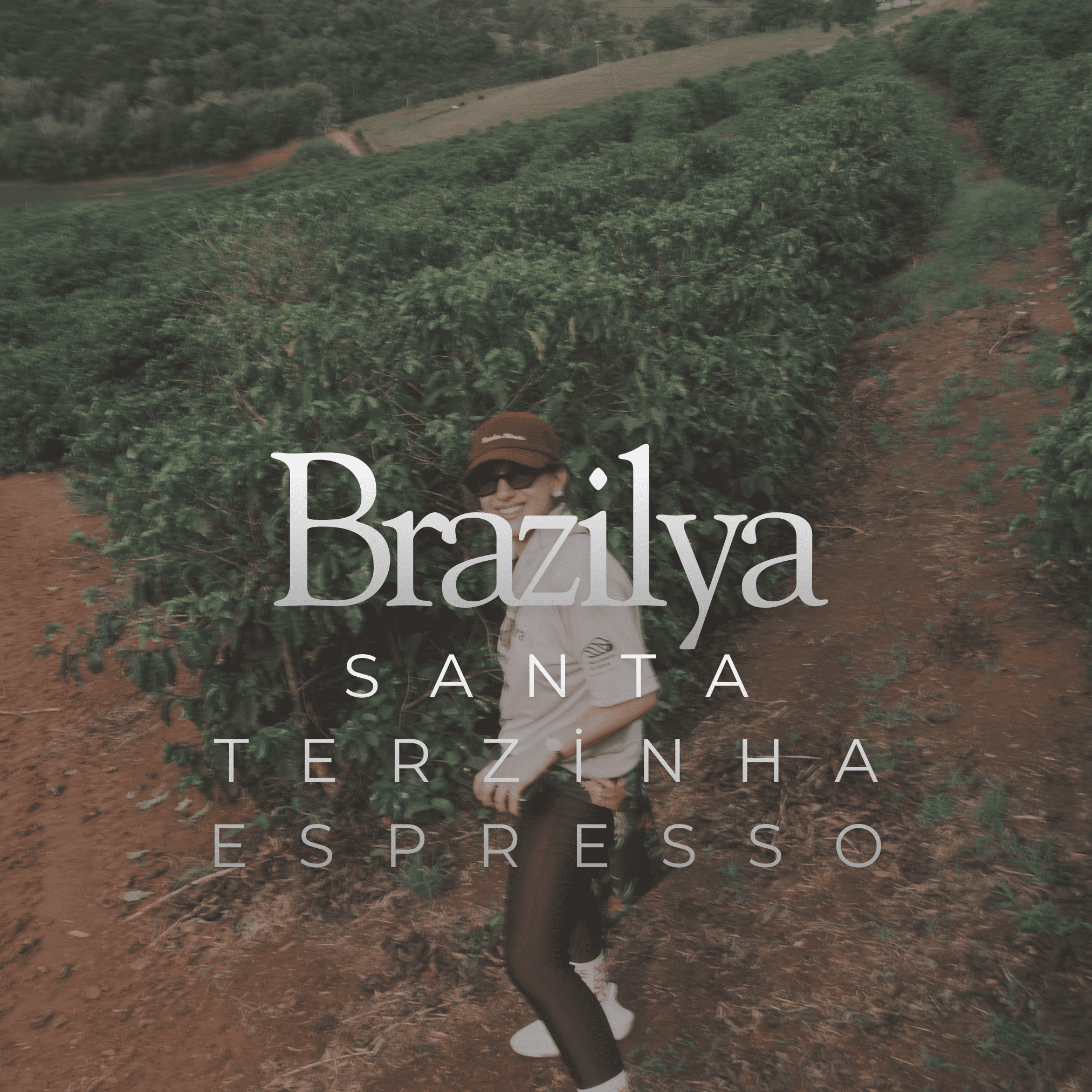 Brazil Fazenda Santa Terzinha