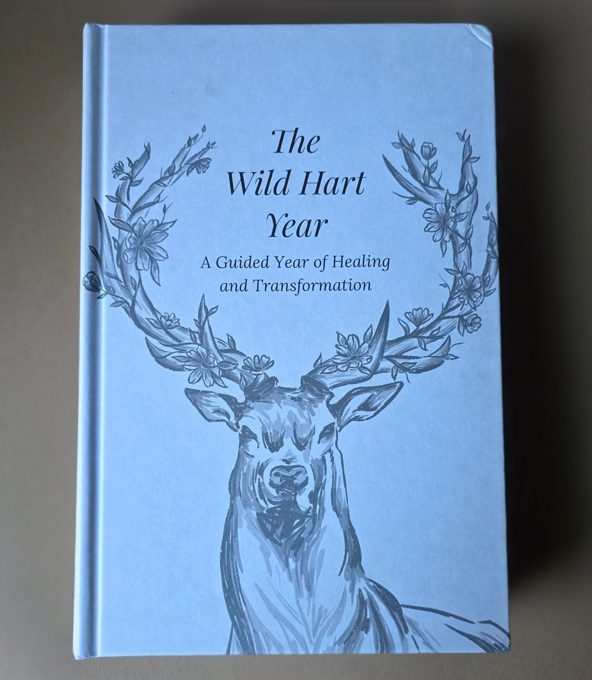 The Wild Hart Year: A Year of Healing and Transformation