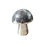 Thumbnail: Disco Mushrooms