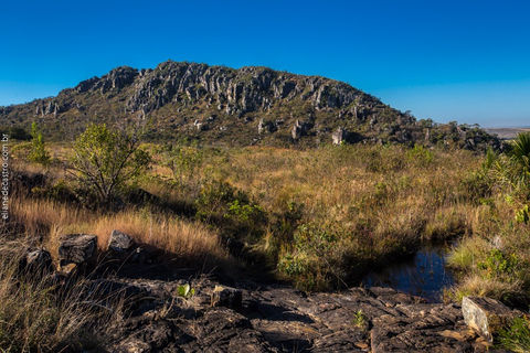 Morro do Cabeludo PEP - Bismarque.jpeg