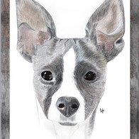 Chi Portrait