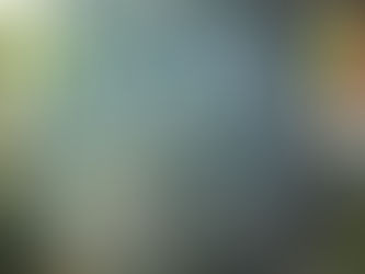 My South Carolina Mug, Squirrels, and the Bible