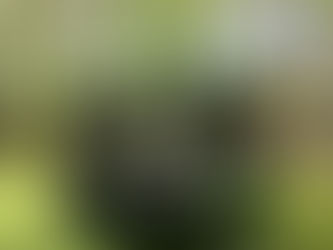 Trampoline Fun Finally; Plus Comcast Stinks