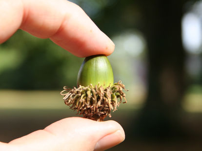 The Power of Small