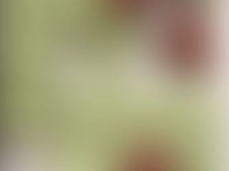 What to Eat During Each Phase of Your Menstrual Cycle