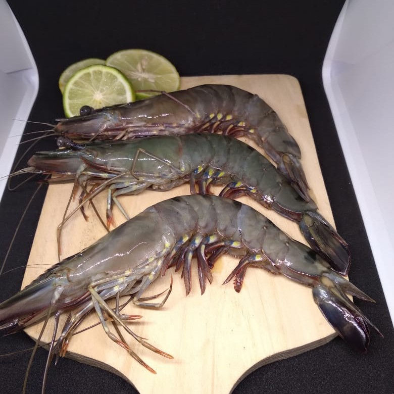 Thumbnail: Udang Pancet Besar 500 Gram-+