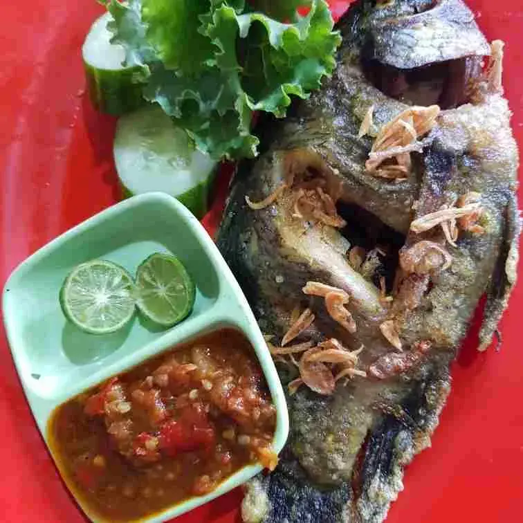 Mujair Goreng