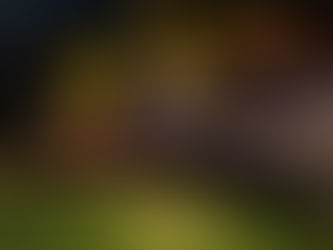 How to Get Rid of Urine Smell on Artificial Turf for Good