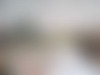 Latest Exhibition "Trees, Clouds & a Big Big Bird"