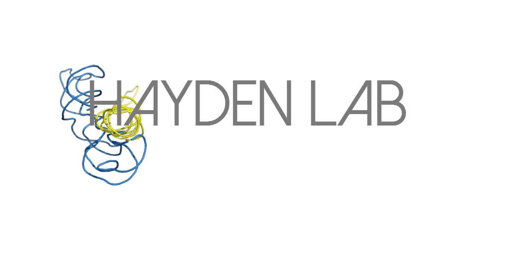 Hayden Lab logo