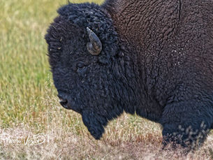 Exploring Our World With PhotoHunter