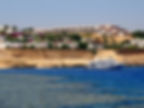 domina coral bay harem