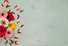 petals-near-bright-gerberas_23-2147759312.png