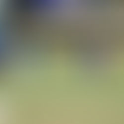 Mid-Season Wrap: Grace TNCA T20 League