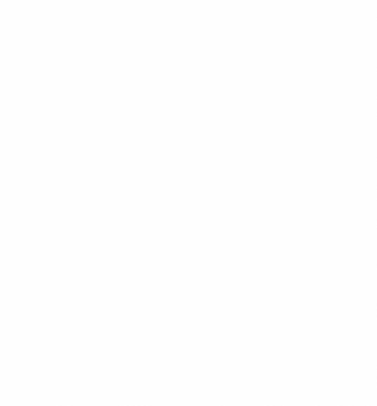 VOSS (23.7 x 25.5 ซม.) (2).gif