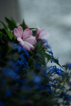 _N104377-w