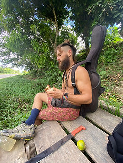Finn cuts a caimito