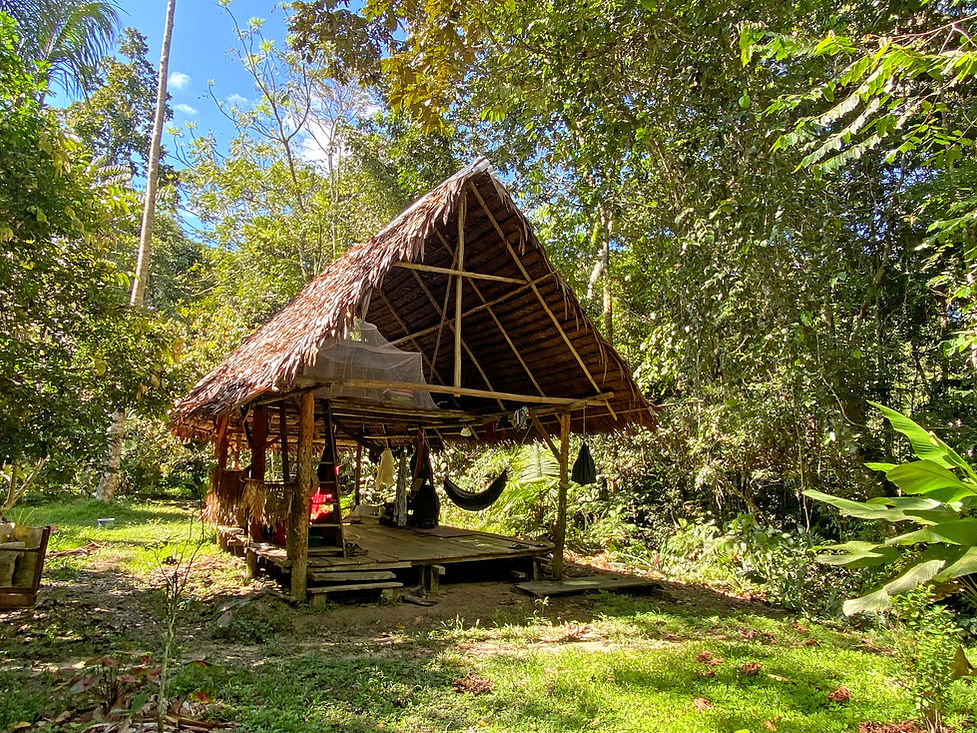 Our accomodation