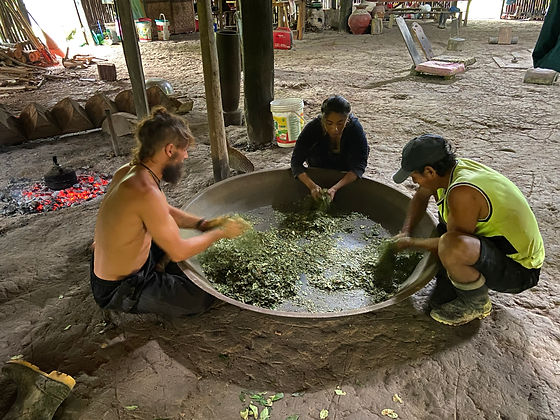 Crushing the coca leaves for mambe