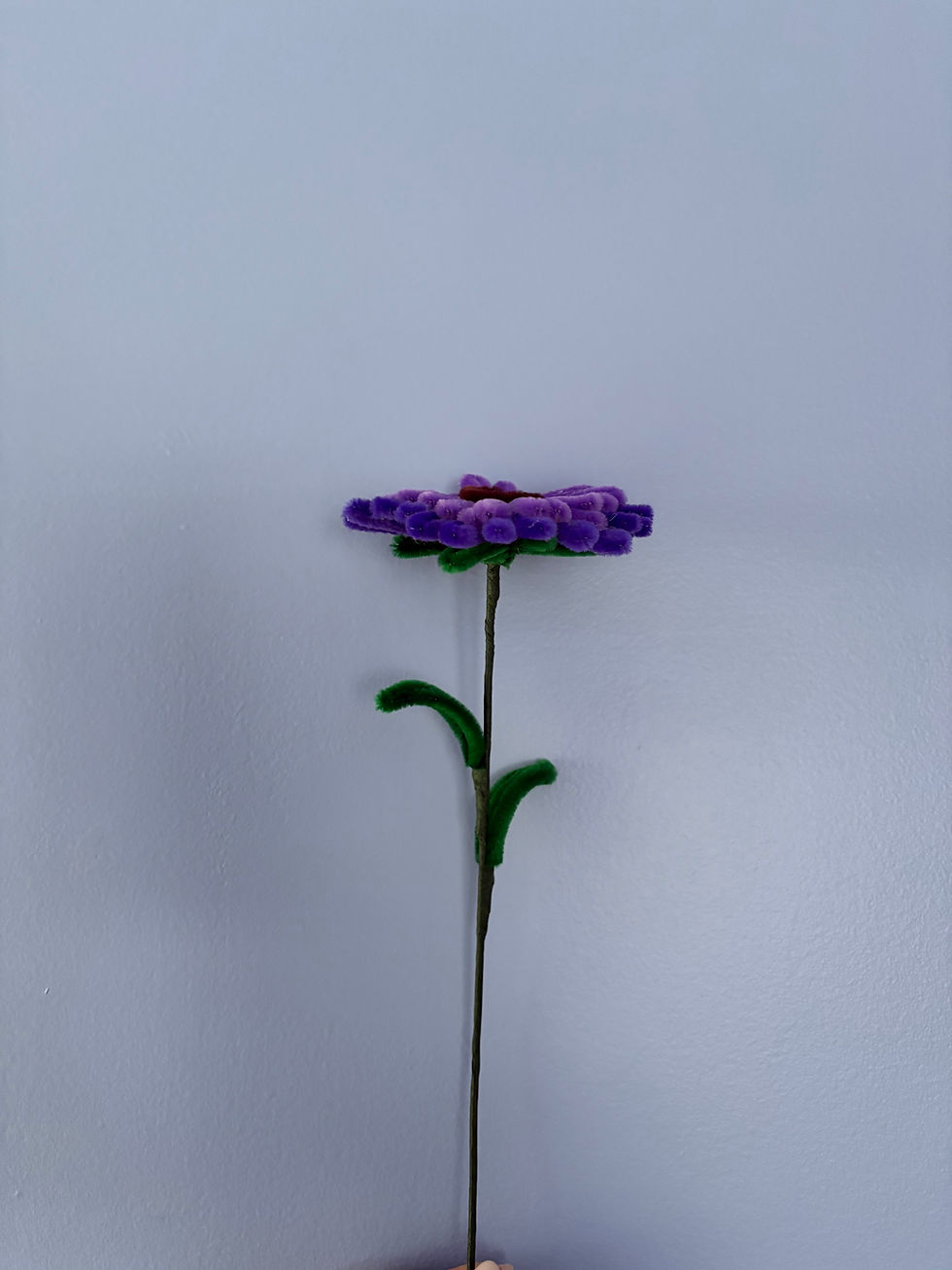 Thumbnail: Mixed Gerbera Daisy