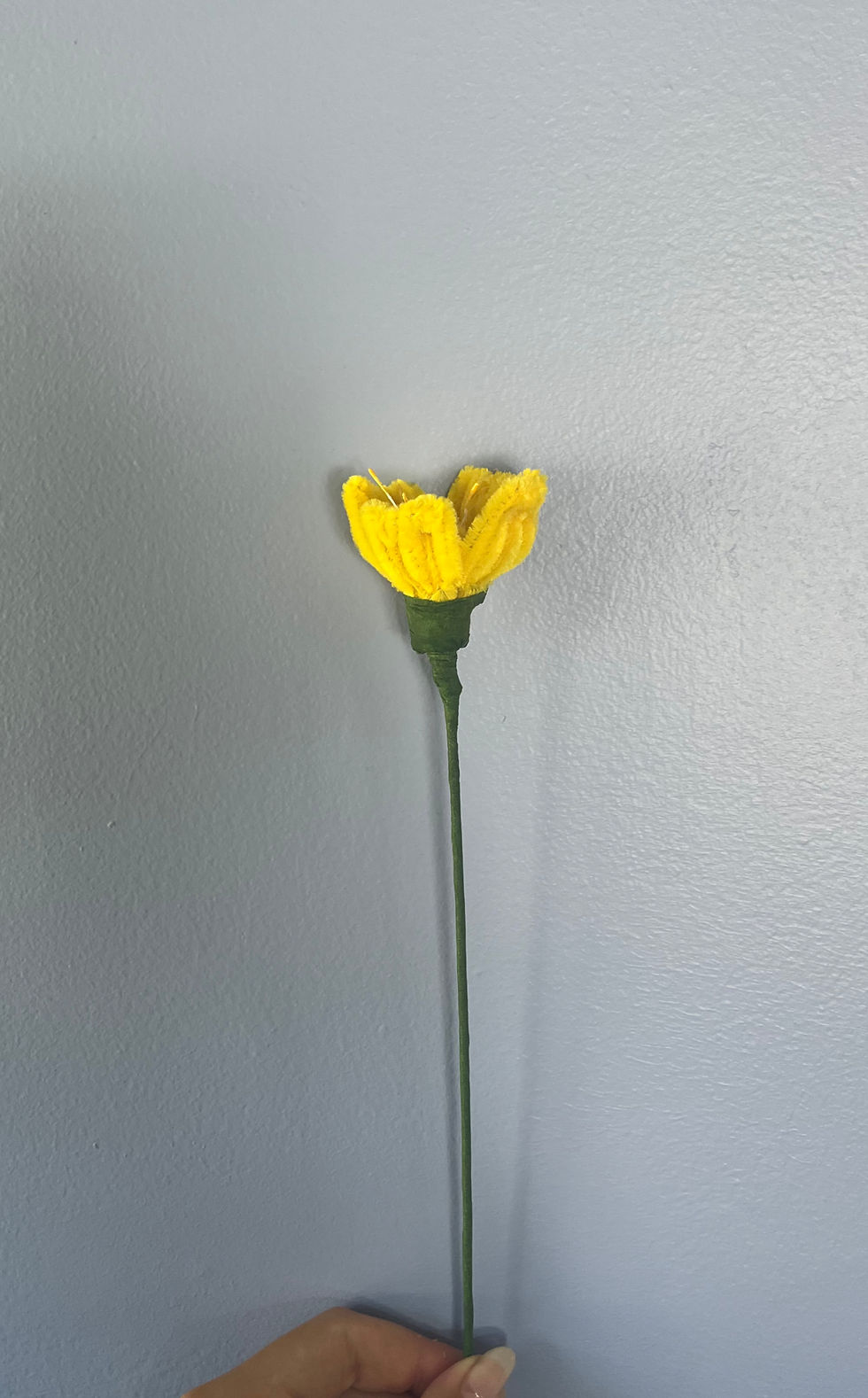 Thumbnail: Poppy