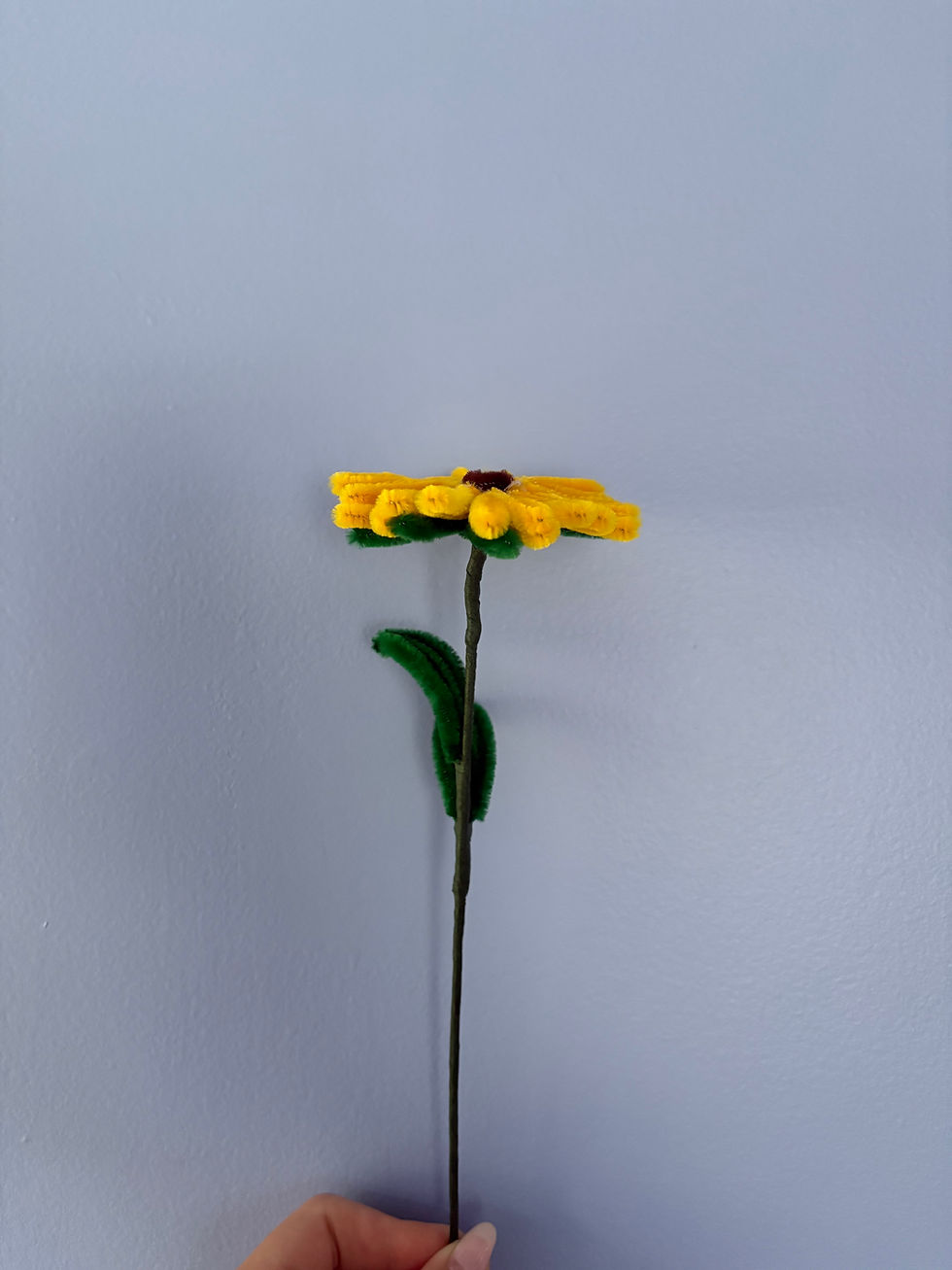 Thumbnail: Mixed Gerbera Daisy