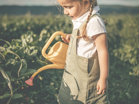 Gardening for the Soul