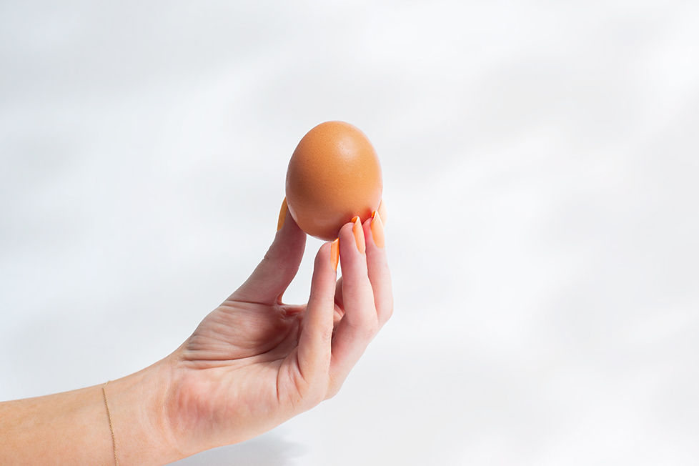 The Reactor Creative, Advertising & Design_Honest_Eggs_Egg