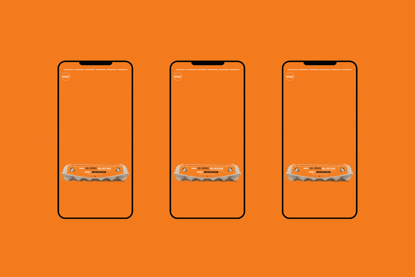 771a8297416349.5ecb6e742dca7.gif