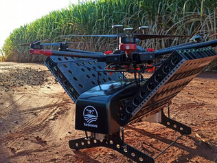 Uso de drones revoluciona soluções na agricultura do Brasil