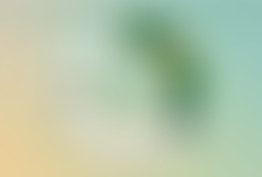 Incra lança portal para acesso a dados fundiários