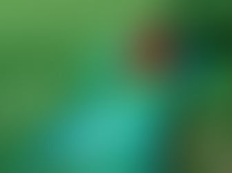 BB Seguros desenvolve plataforma de monitoramento por sensoriamento remoto