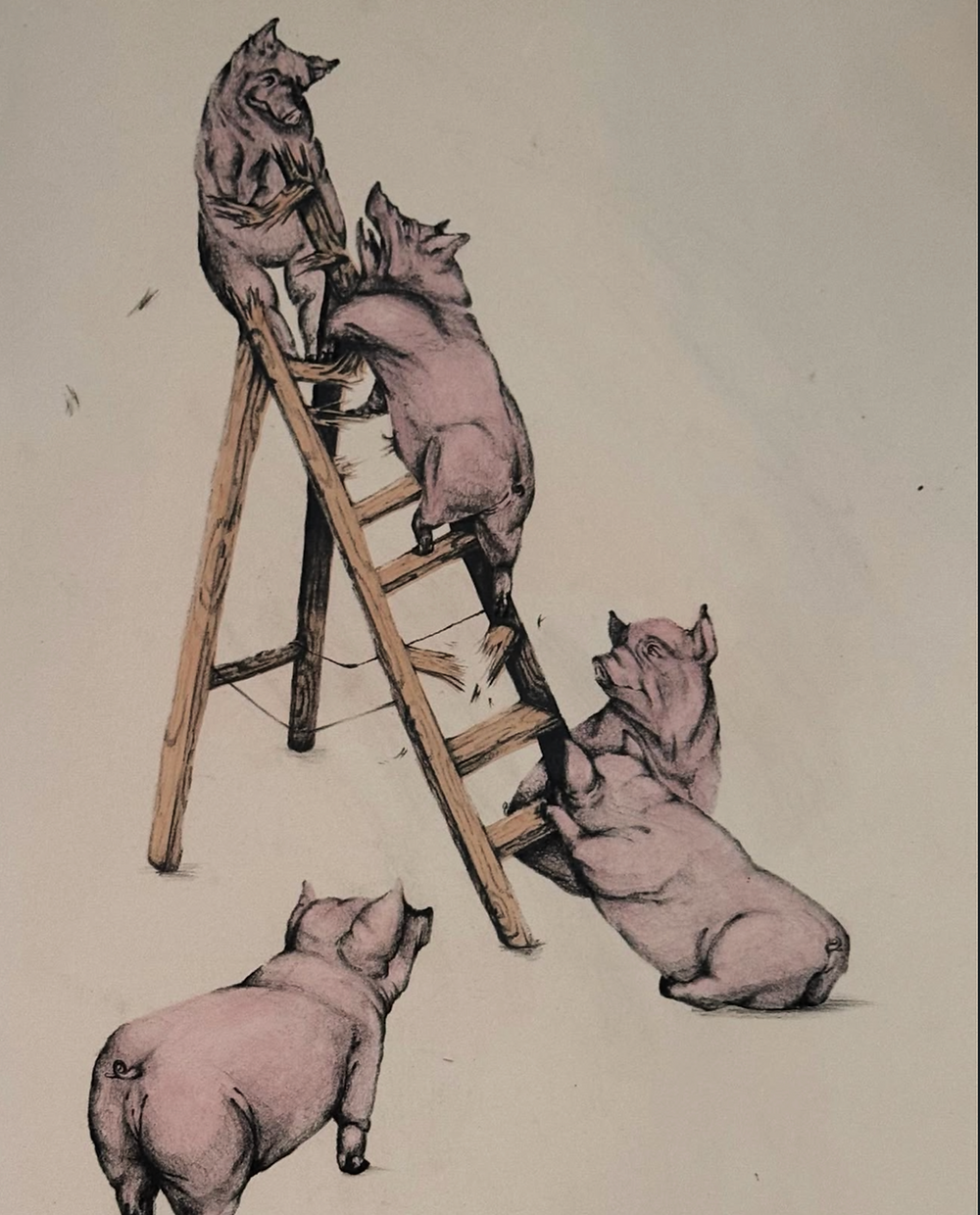 Illustration of pigs climbing a ladder from Individual Works
