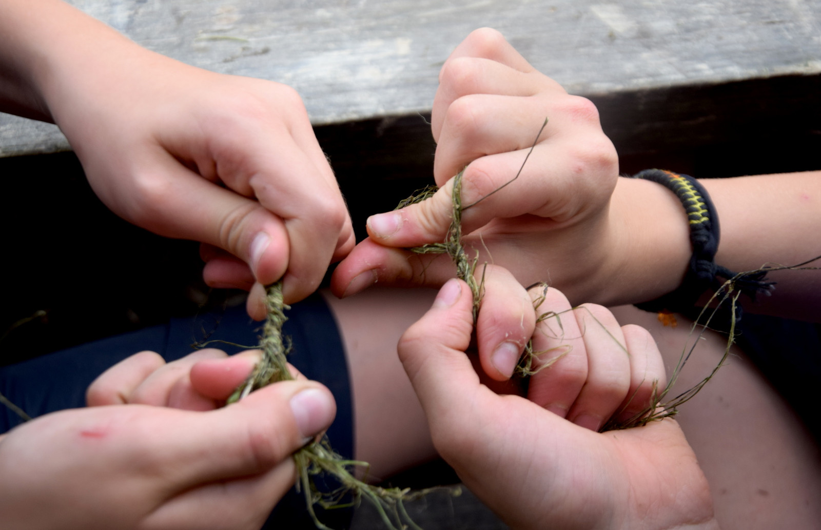 Leo und Klara Brennesselschnur.JPG