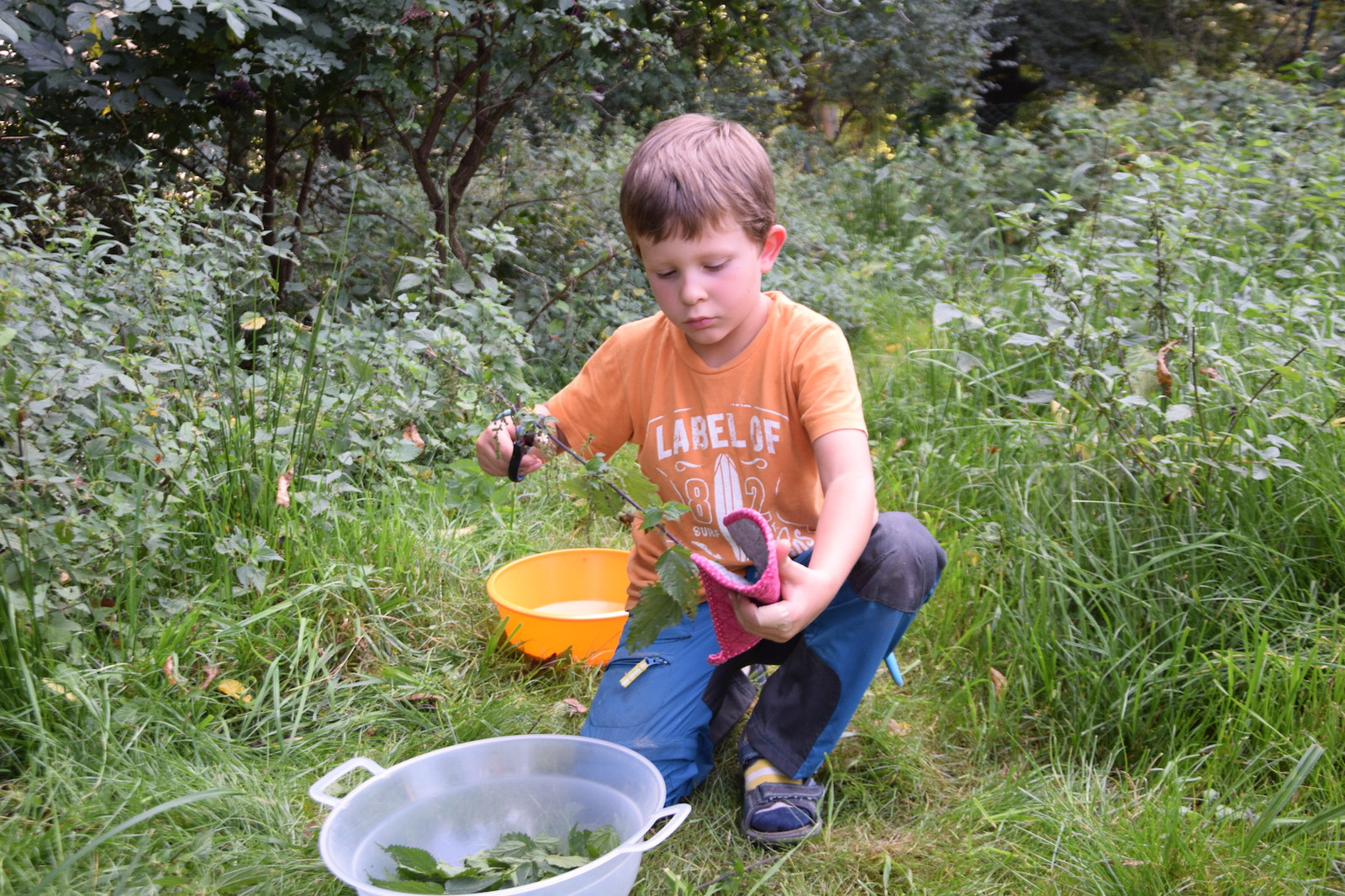 Nataniel Brennesselchips ernten.JPG