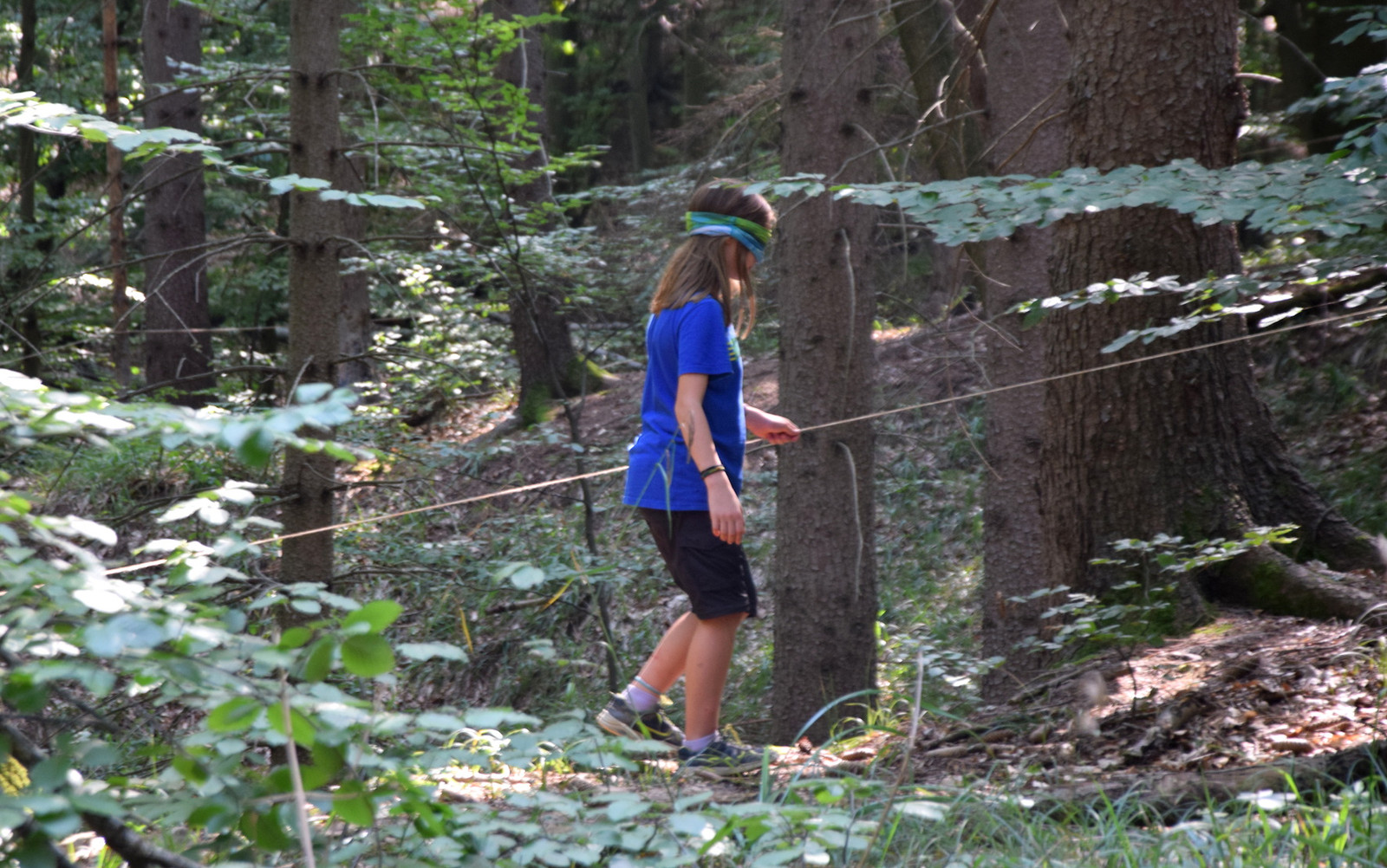 Klara blinder Pfad.JPG