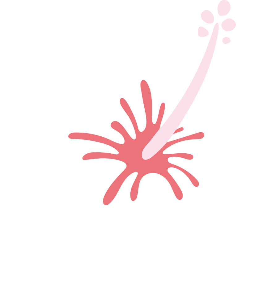 ハイビスカス 2.png