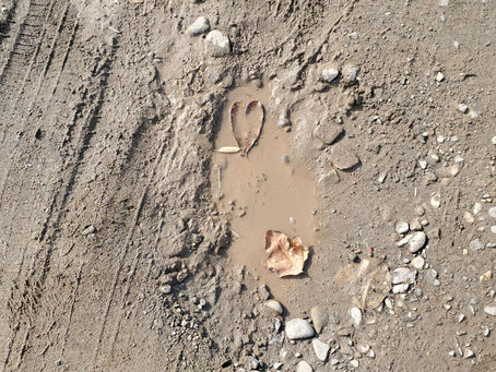 2023.12.20 午後の活動