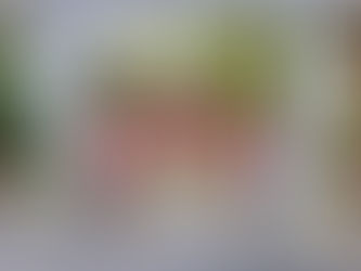 2024.1.10 午後の活動