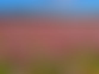 2023.11.13 午後の活動