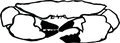 DRUMSCRABA4.png