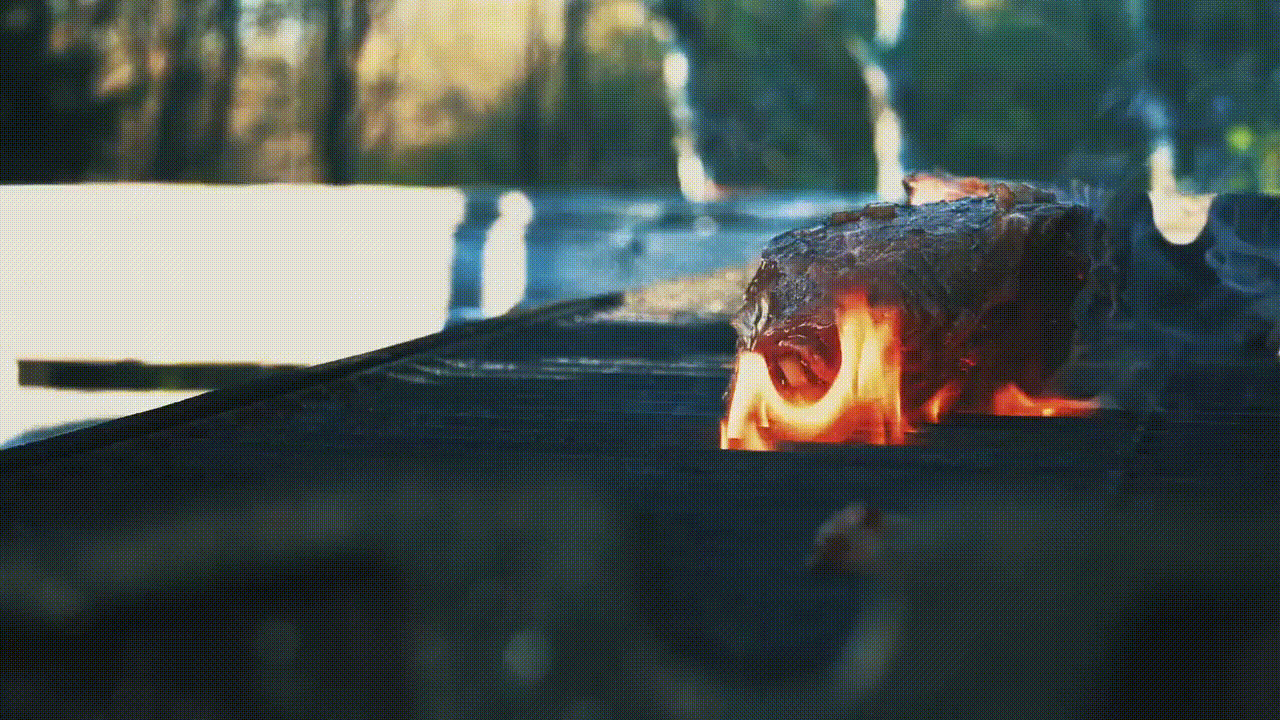 Carne a la parrila
